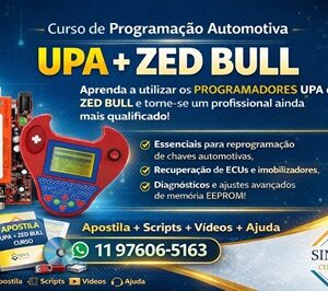 Curso de programação UPA e Zed Bull online